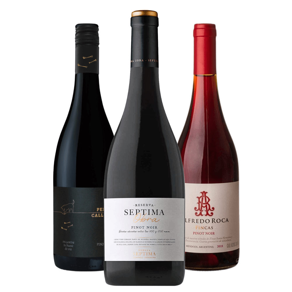 Kit Vinhos Pinot Noir: Perro Callejero, Septima Obra, Alfredo Roca