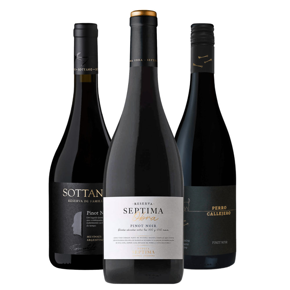 Kit Vinhos Pinot Noir: Sottano, Septima, Mosquita Muerta