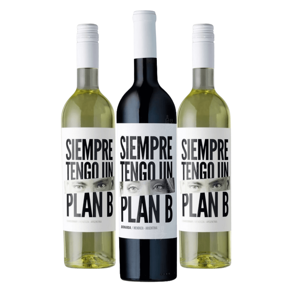 Kit Vinhos Plan B Tinto e Branco: 1 Bonarda, 2 Chardonnay