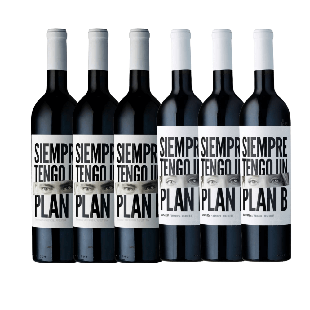 Kit Vinhos Siempre Tengo Un Plan B: 3 Cabernet Sauvignon, 3 Bonarda