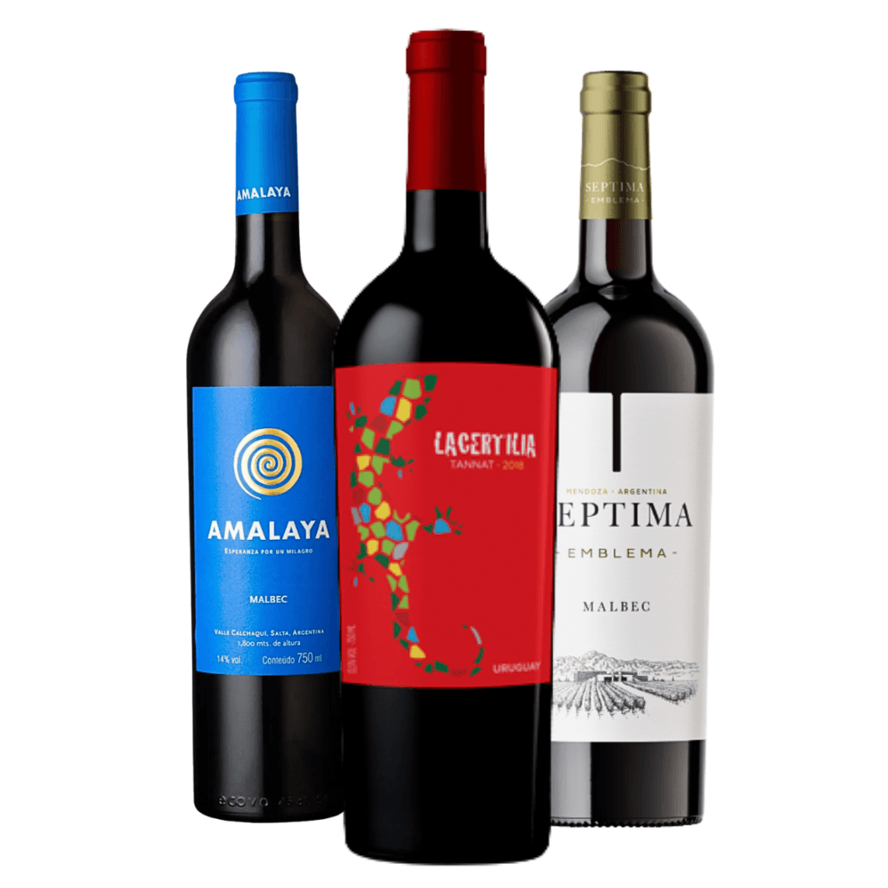 Kit Vinhos Tintos: Amalaya, Lacertilla, Septima