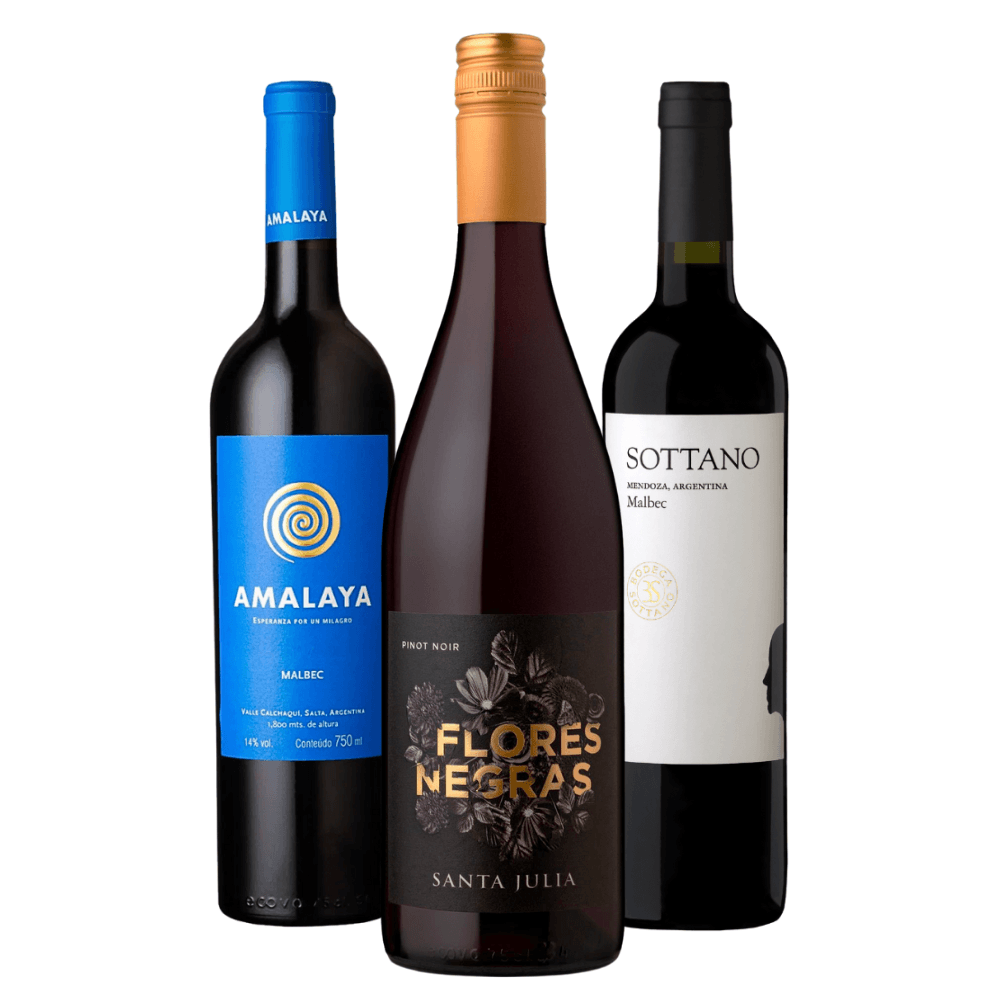 Kit Vinhos Tintos: Amalaya, Santa Julia, Sottano