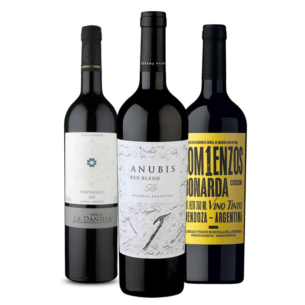 Kit Vinhos Tintos Argentinos - 3 Unidades
