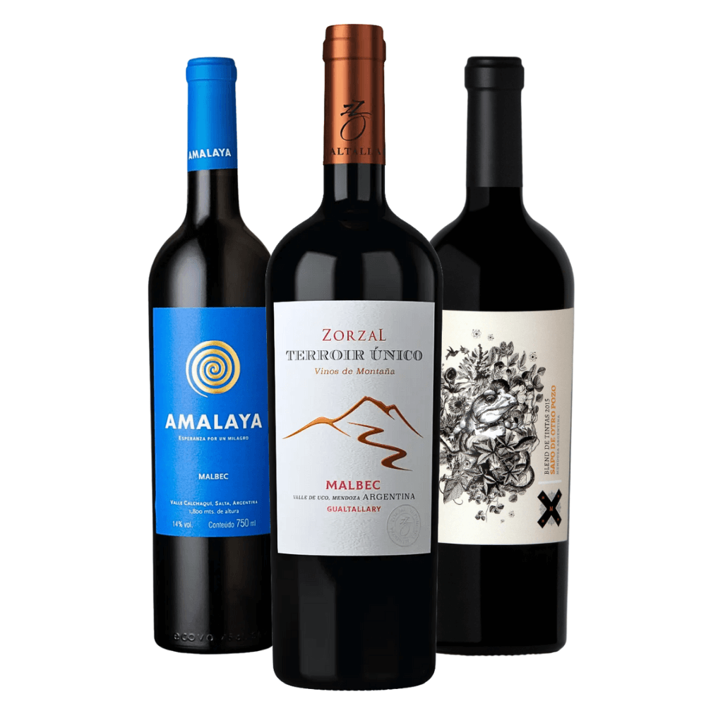 Kit Vinhos Tintos Argentinos: Amalaya, Zorzal, Sapo de Otro Pozo