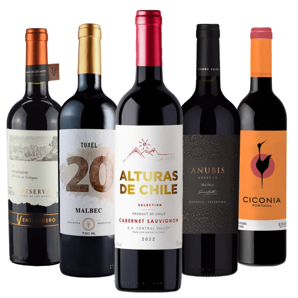 Kit Vinhos Tintos Black Friday