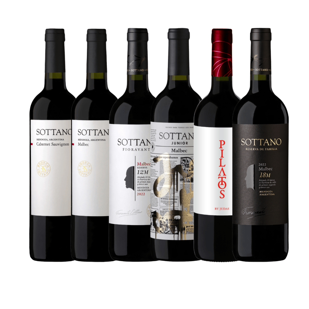 Kit Vinhos Tintos Bodega Sottano - 6 Unidades