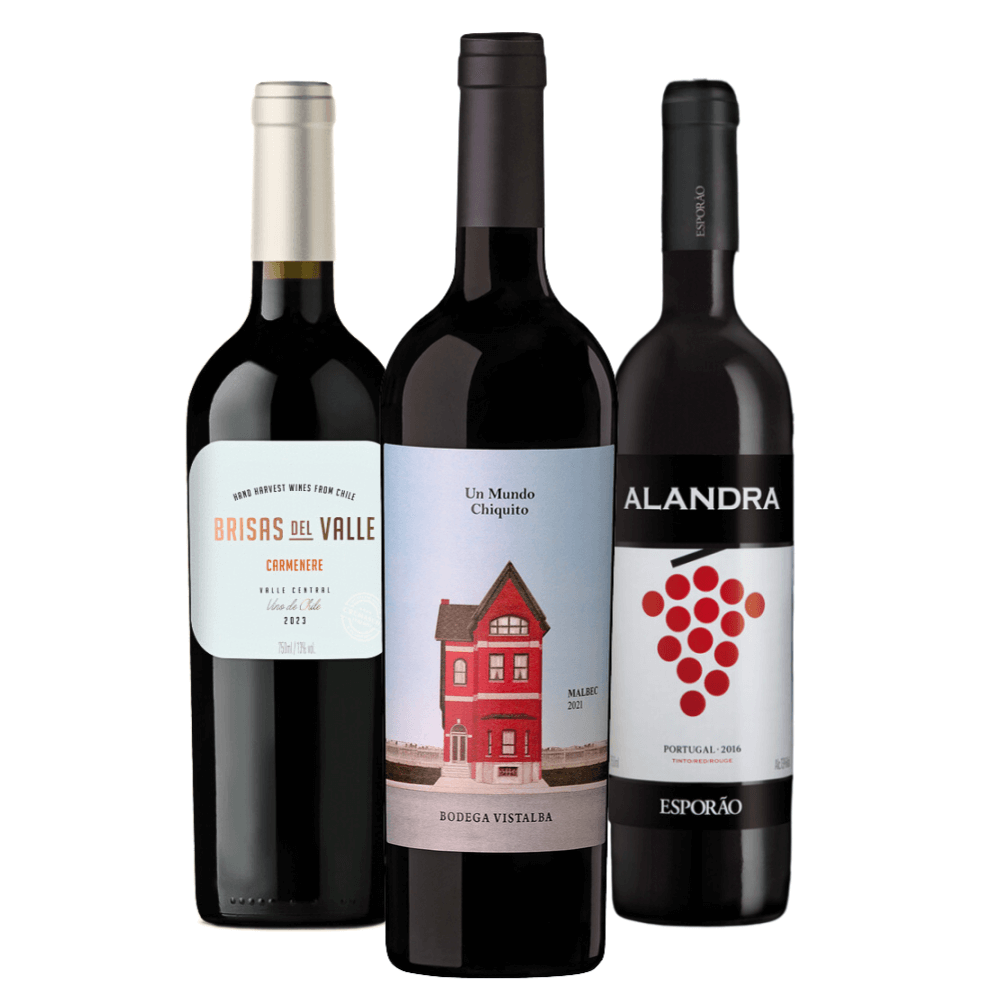 Kit Vinhos Tintos: Brisas del Valle, Un Mundo Chiquito, Alandra