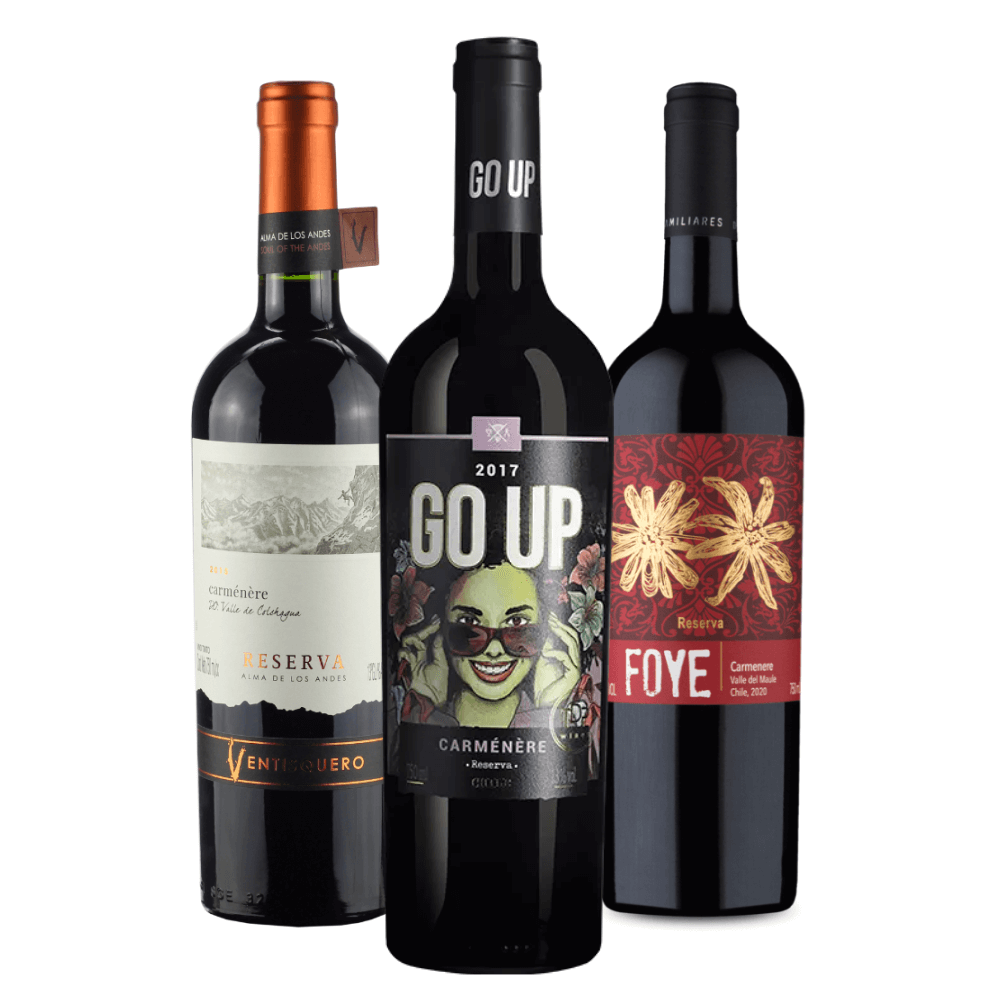 Kit Vinhos Tintos Carménère: Ventisquero, Go Up, Foye