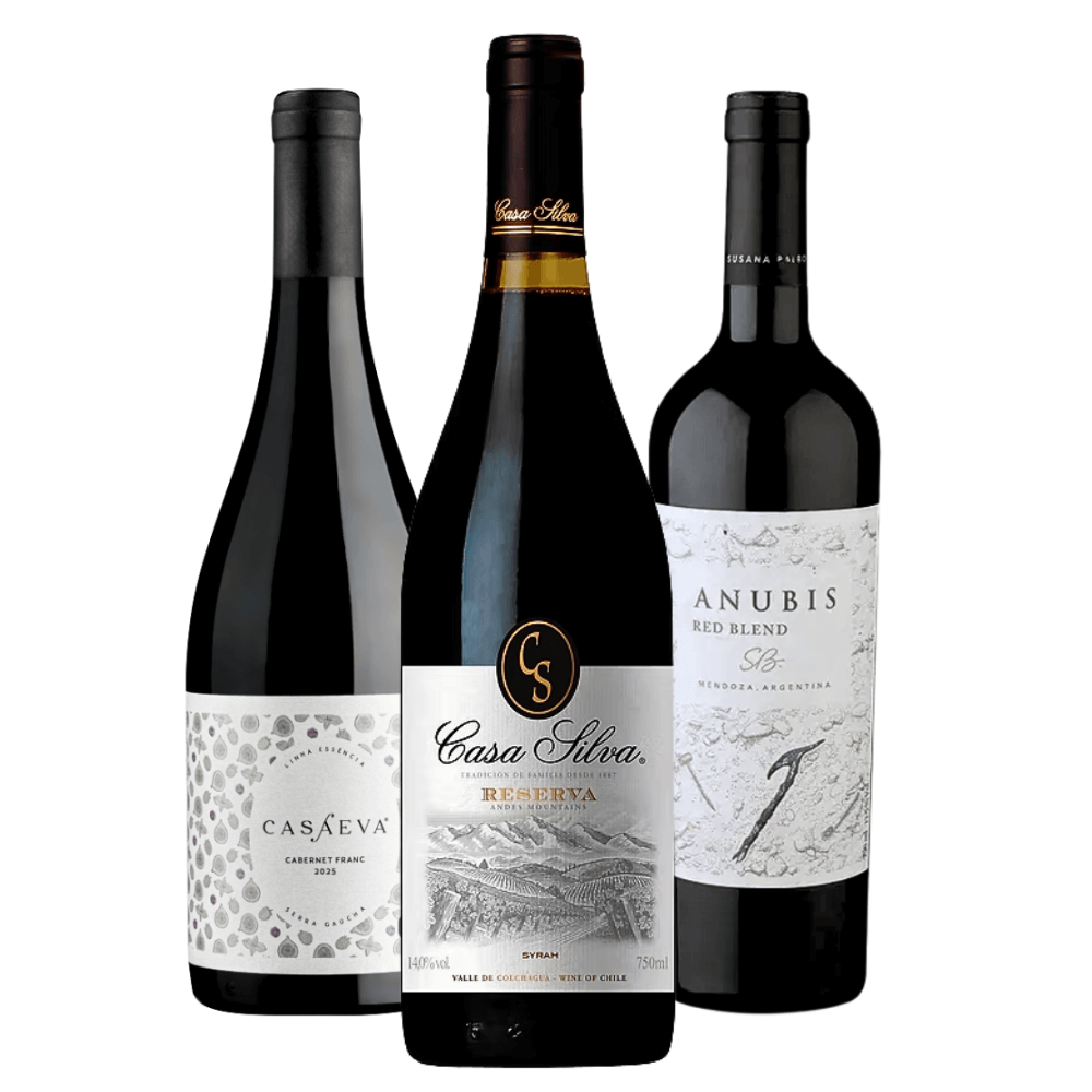 Kit Vinhos Tintos: Casa Eva, Casa Silva, Susana Balbo