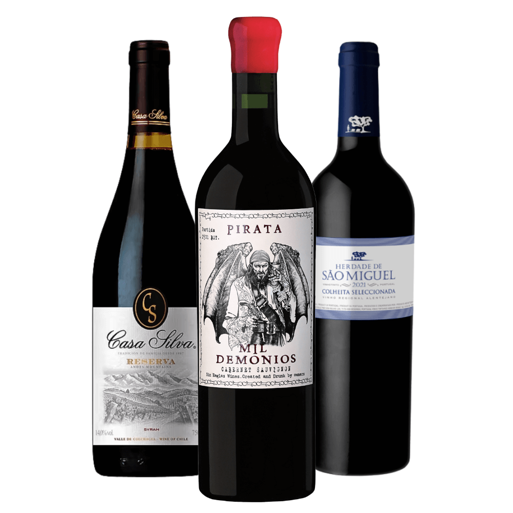 Kit Vinhos Tintos: Casa Silva, Mil Demonios, Herdade de São Miguel