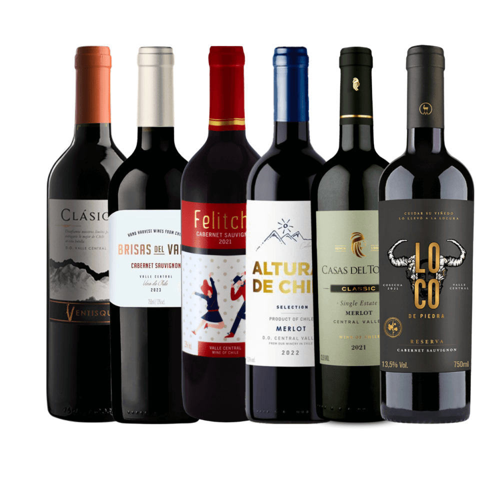 Kit Vinhos Tintos Chilenos - 6 Unidades
