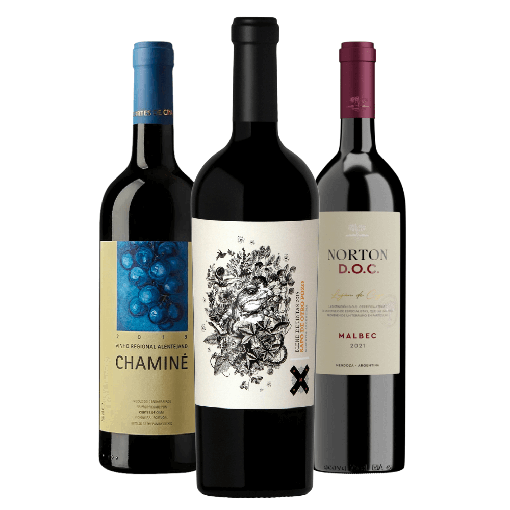 Kit Vinhos Tintos: Cortes de Cima Chaminé, Sapo de Otro Pozo, Norton DOC