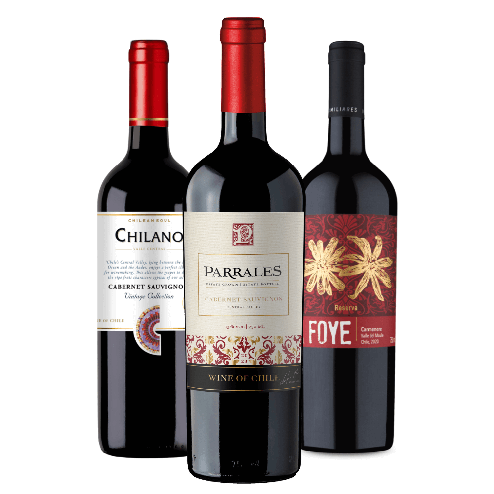 Kit Vinhos Tintos do Chile: Chilano, Parrales, Foye