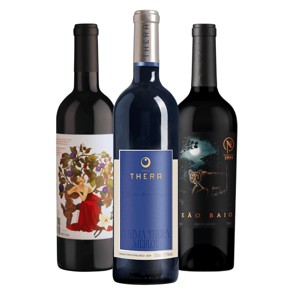 Kit Vinhos Tintos: Marselan, Merlot, Blend