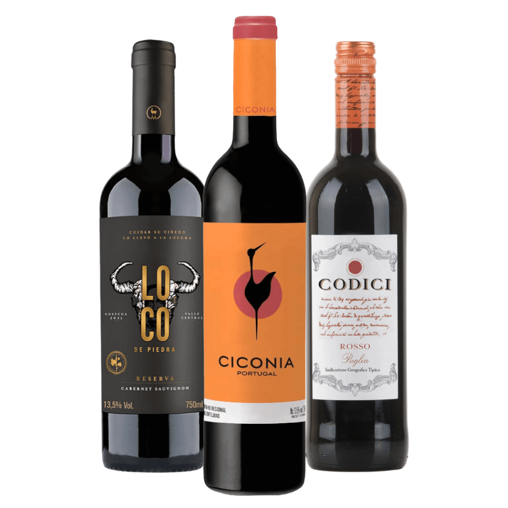 Kit Vinhos Tintos: Miguel Torres, Ciconia, Codici