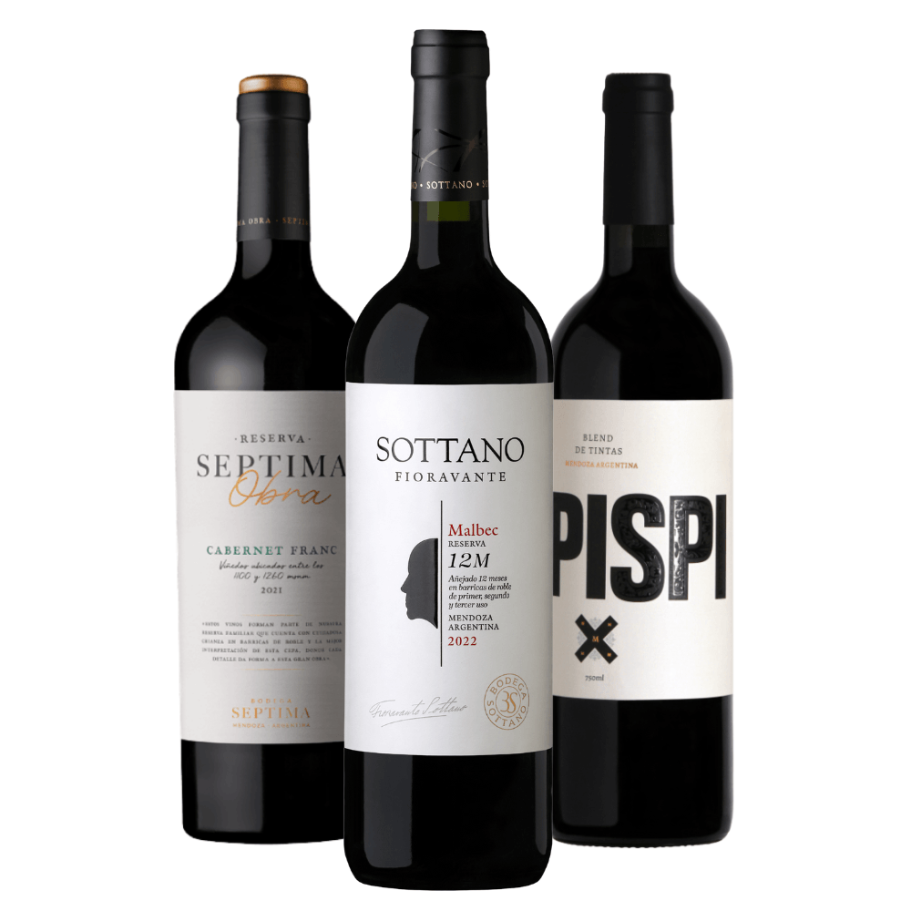Kit Vinhos Tintos Septima, Sottano, Mosquita Muerta