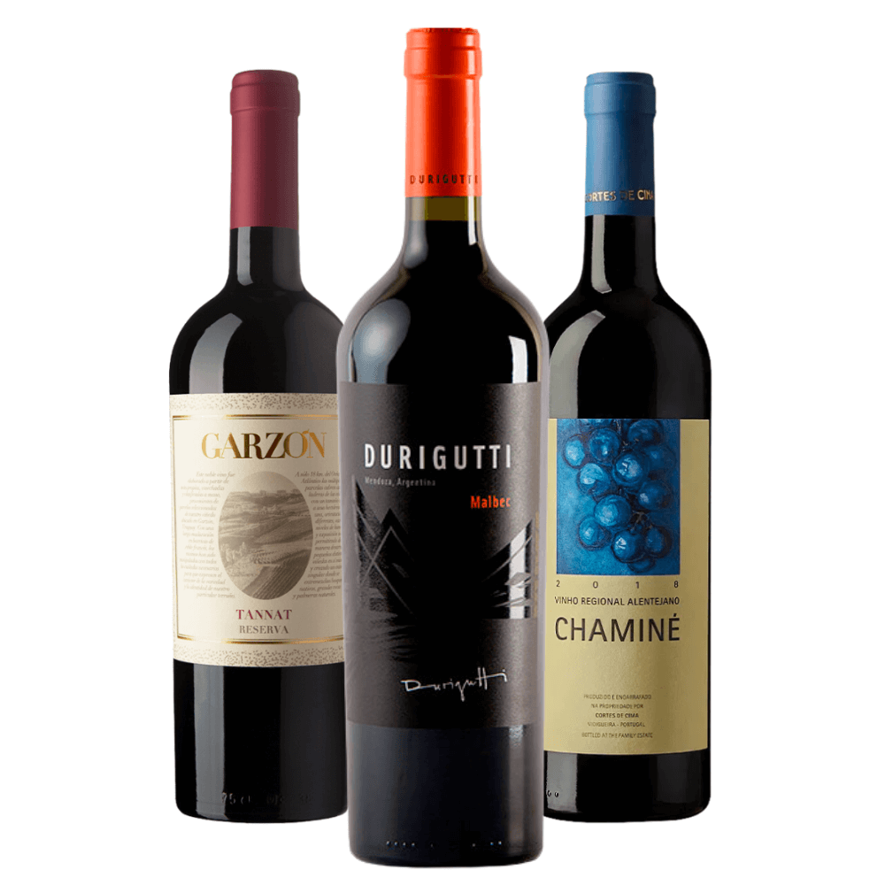 Kit Vinhos Tintos: Uruguai, Argentina, Portugal