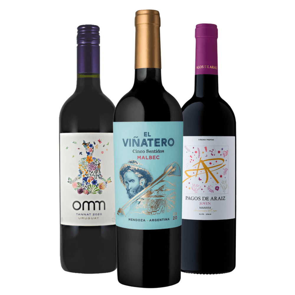 Seleção de Vinhos Tintos: Uruguai, Argentina, Espanha