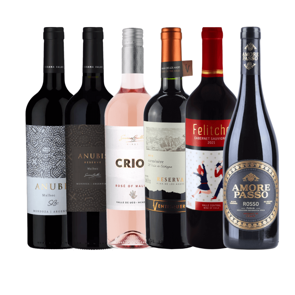 Seleção Especial de Vinhos - 6 Unidades