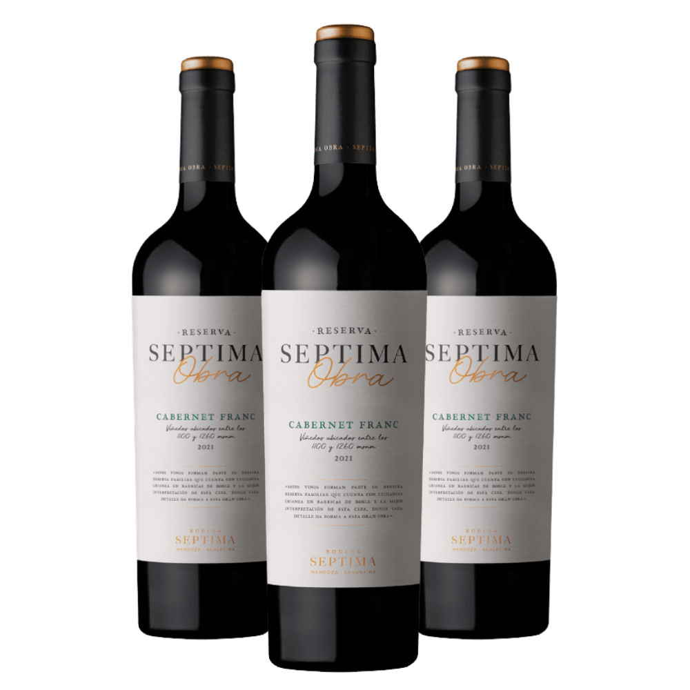 Vinho Bodegas Septima Obra Cabernet Franc - 3 Unidades