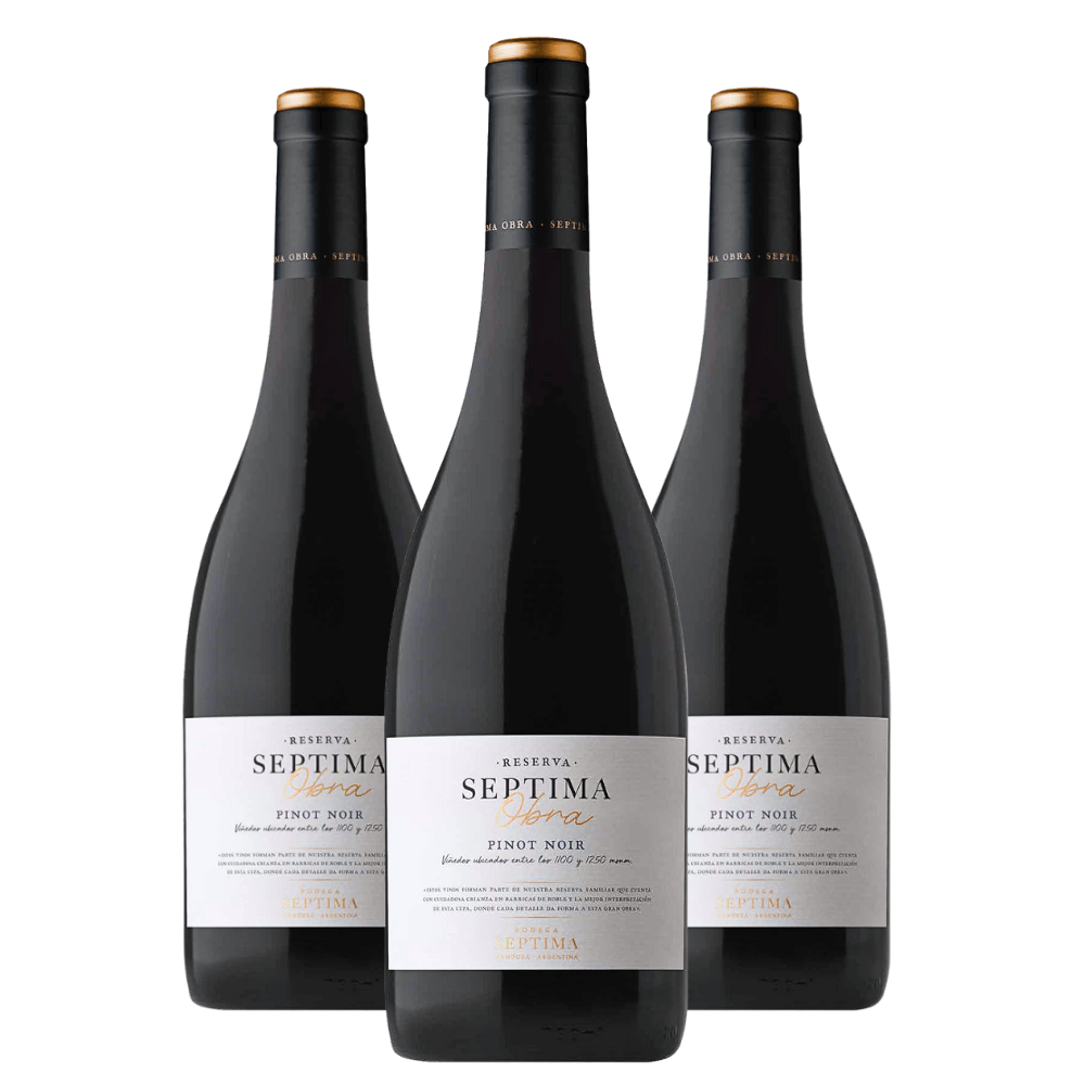 Vinho Bodegas Septima Obra Reserva Pinot Noir - 3 Unidades