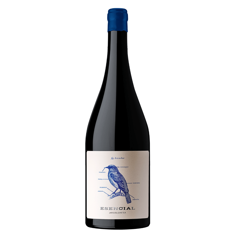Vinho Viña Alta Esencial Ancellotta