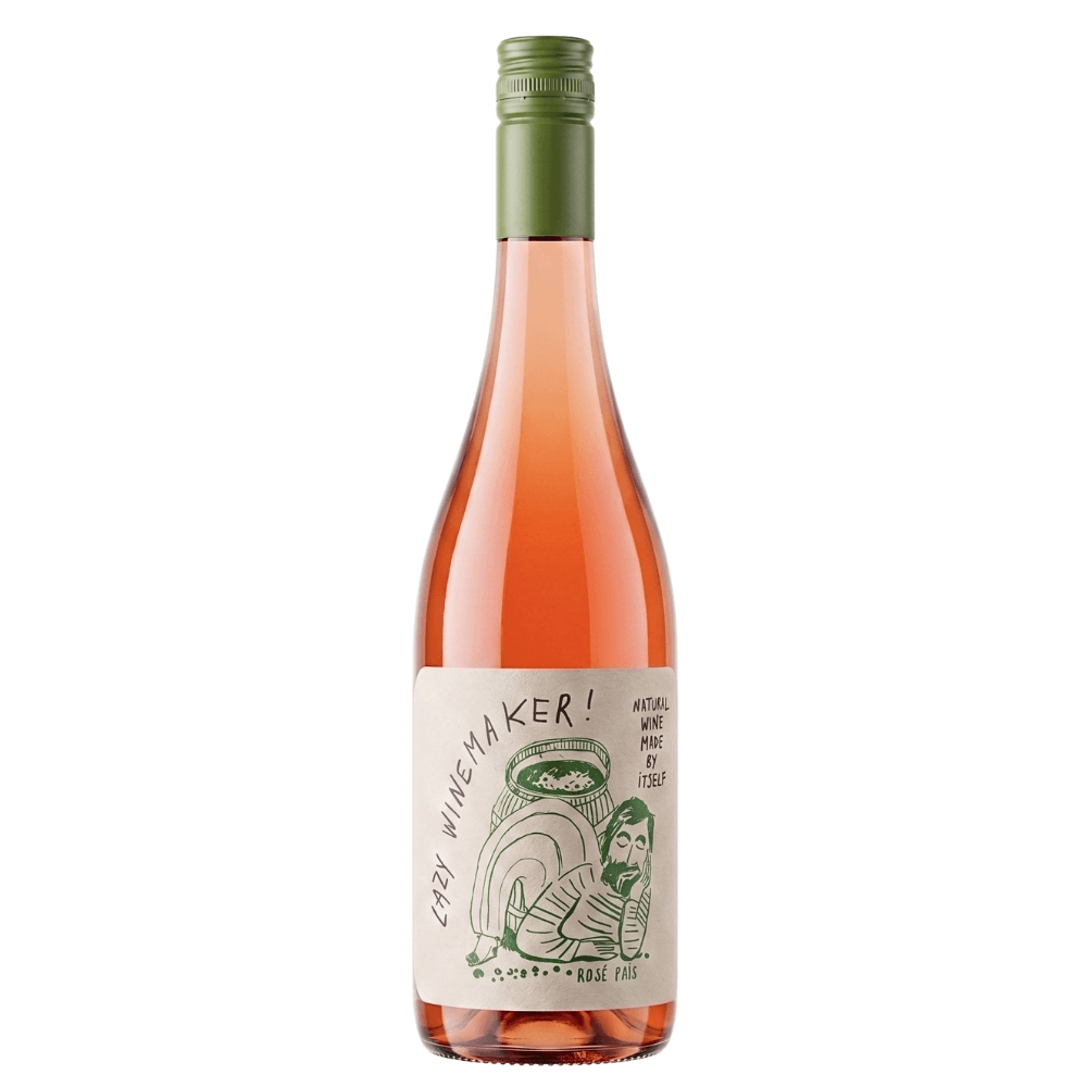 Vinho Viña Echeverría Lazy Winemaker Pais Rosé