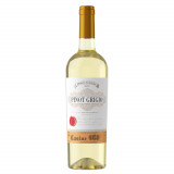 Vinho Le Casine Pinot Grigio