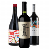 Kit Vinhos Argentinos: Edad Moderna, Indomable, Carinae