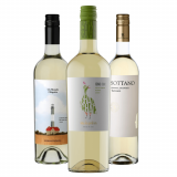 Kit Vinhos Brancos Argentinos: Un Mundo Chiquito, Chac Chac, Sottano