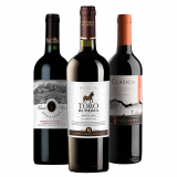 Kit Vinhos Chilenos: Casa Silva, Toro de Piedra, Ventisquero