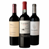 Kit Vinhos Malbec Argentinos: Tomero Single Vineyard, Catena, Cinco Sentidos