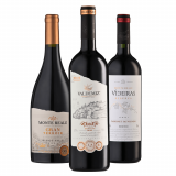 Kit Vinhos Monte Reale: Tannat Reserva, Pinot Noir, Tannat