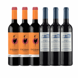 Kit Vinhos Portugueses Quinta de Bons Ventos 3 Unidades + Ciconia Alentejo Tinto 3 Unidades