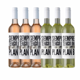 Kit Vinhos Siempre Tengo Un Plan B: 3 Rosé, 3 Chardonnay