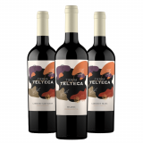 Kit Vinhos Tierra Telteca: Cabernet Sauvignon, Malbec, Cabernet Franc