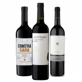 Kit Vinhos Tintos Argentina - 3 Unidades