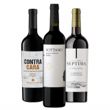 Kit Vinhos Tintos Argentina - 3 Unidades