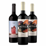 Kit Vinhos Tintos Argentinos: Chiquito e Telteca