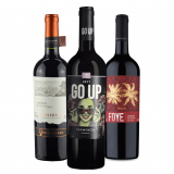 Kit Vinhos Tintos Carménère: Ventisquero, Go Up, Foye