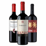 Kit Vinhos Tintos do Chile: Chilano, Parrales, Foye