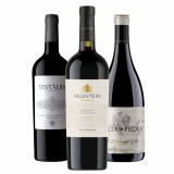 Kit Vinhos Vistalba, Salentein, Michelini i Mufatto
