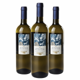 Vinho Azienda Guerrieri Bianchello del Metauro DOC - 3 Unidades
