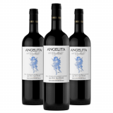 Vinho Dominio del Challao Angelita del Challao Tempranillo - 3 Unidades