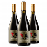 Vinho Fortunatus Pinot Noir Reserva Especial - 3 Unidades