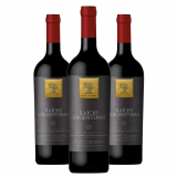 Vinho Salvador Patti Raíces Argentinas Malbec - 3 Unidades
