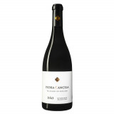 Vinho Pedra Cancela Seleção do Enólogo Dão Tinto