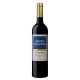 Vinho Bons Ventos Douro