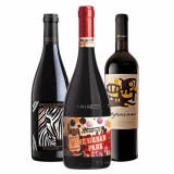 Kit Vinhos Italianos: Menicucci Appassimento, Montresor Appassimento, Ceppaiano Violetta