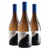 Vinho Andes Plateau Cota 500 Chardonnay - 3 Unidades